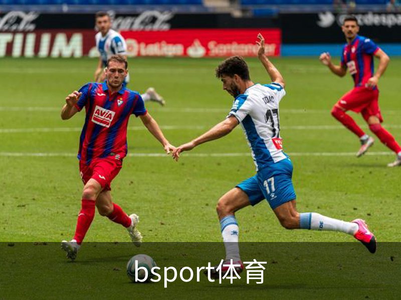 bsport体育简介